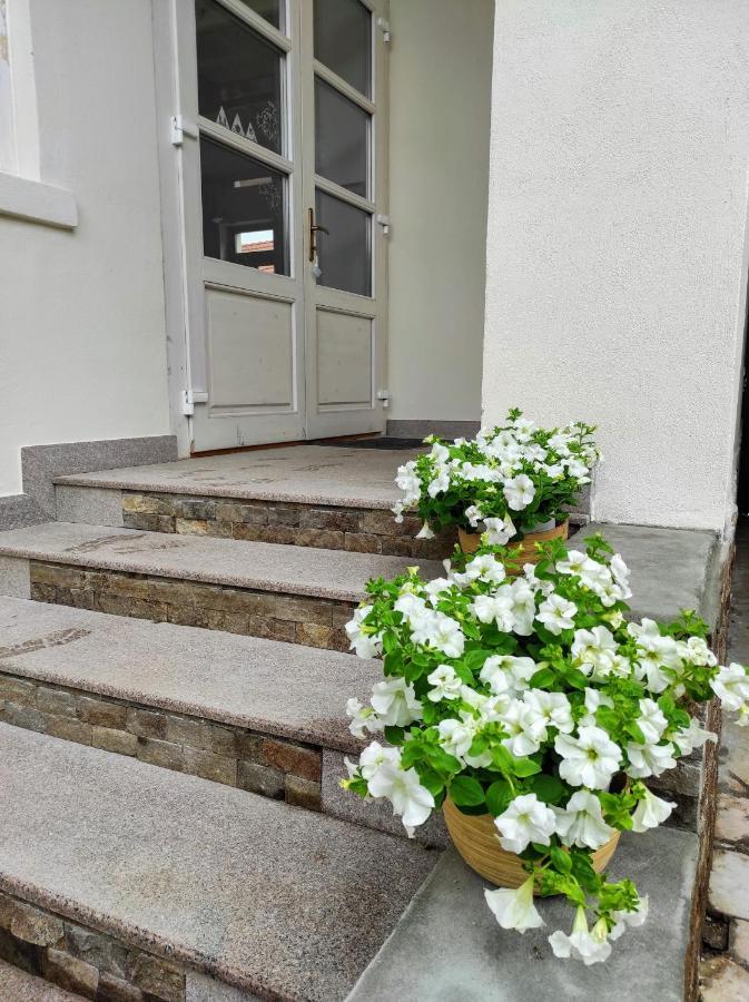 Casa David Ferenc Haz Hotel Deva Ngoại thất bức ảnh